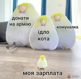 Видатки українця