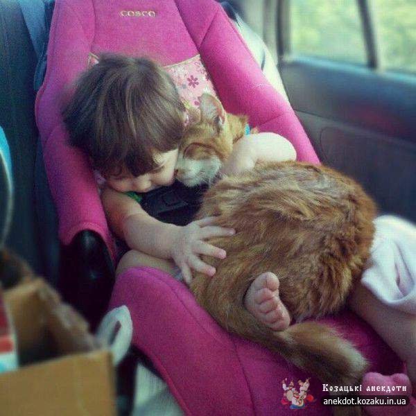 Коли любиш спати з котом