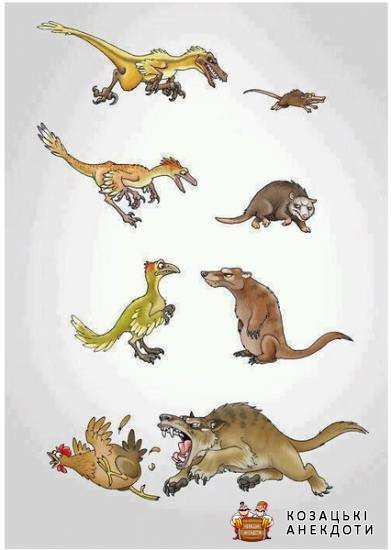 Карикатура на еволюцію