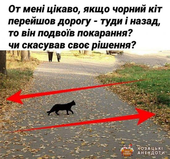 Коли чорний кіт двічі переходить дорогу