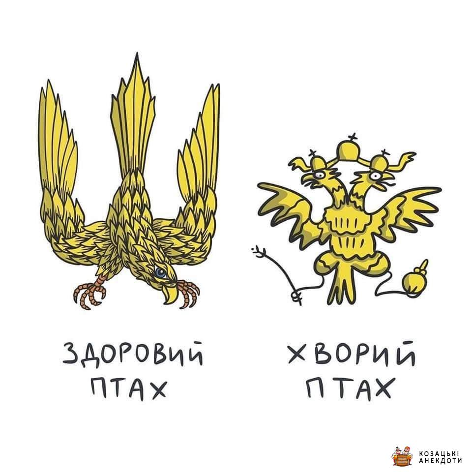 Правильний птах