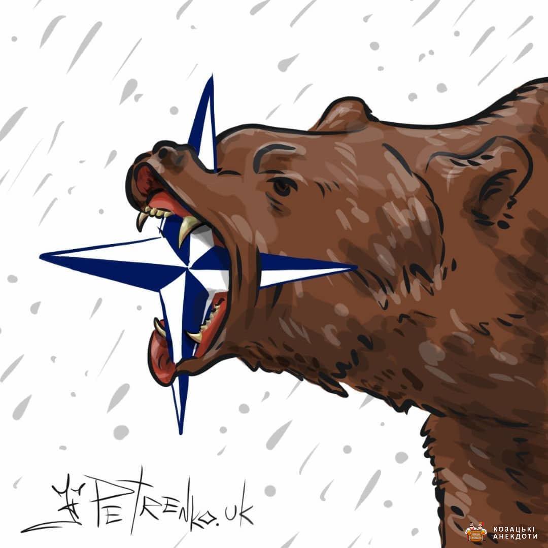 НАТО та Ведмідь