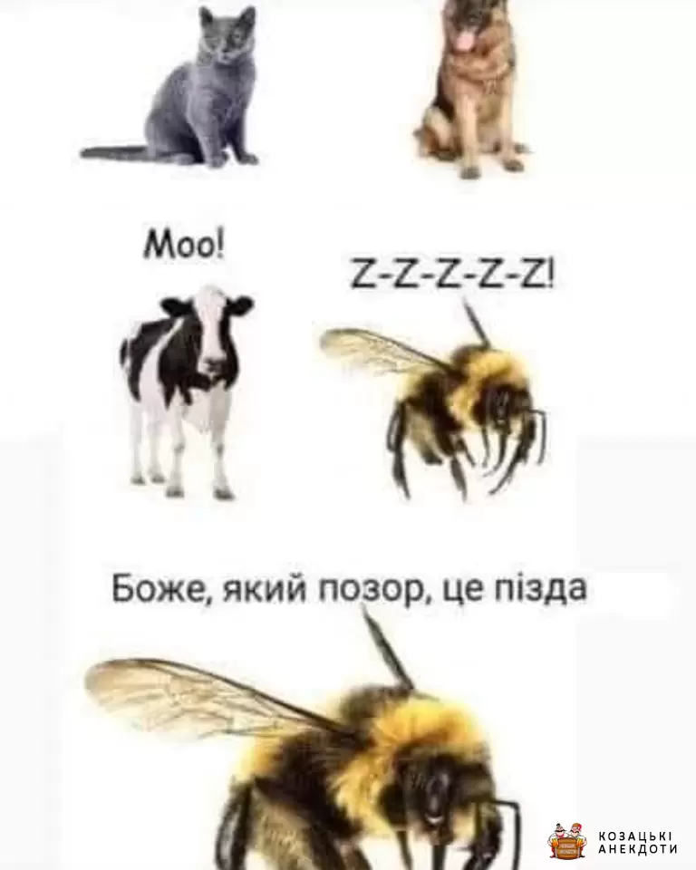 Облом Джміля