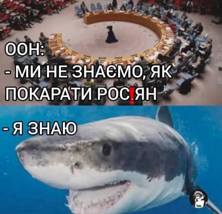 акула зїла руского