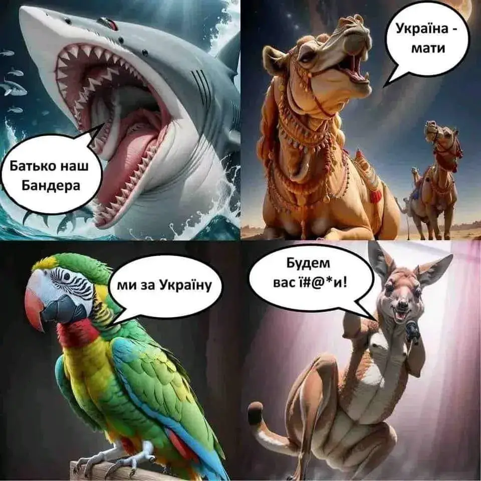 акула мем