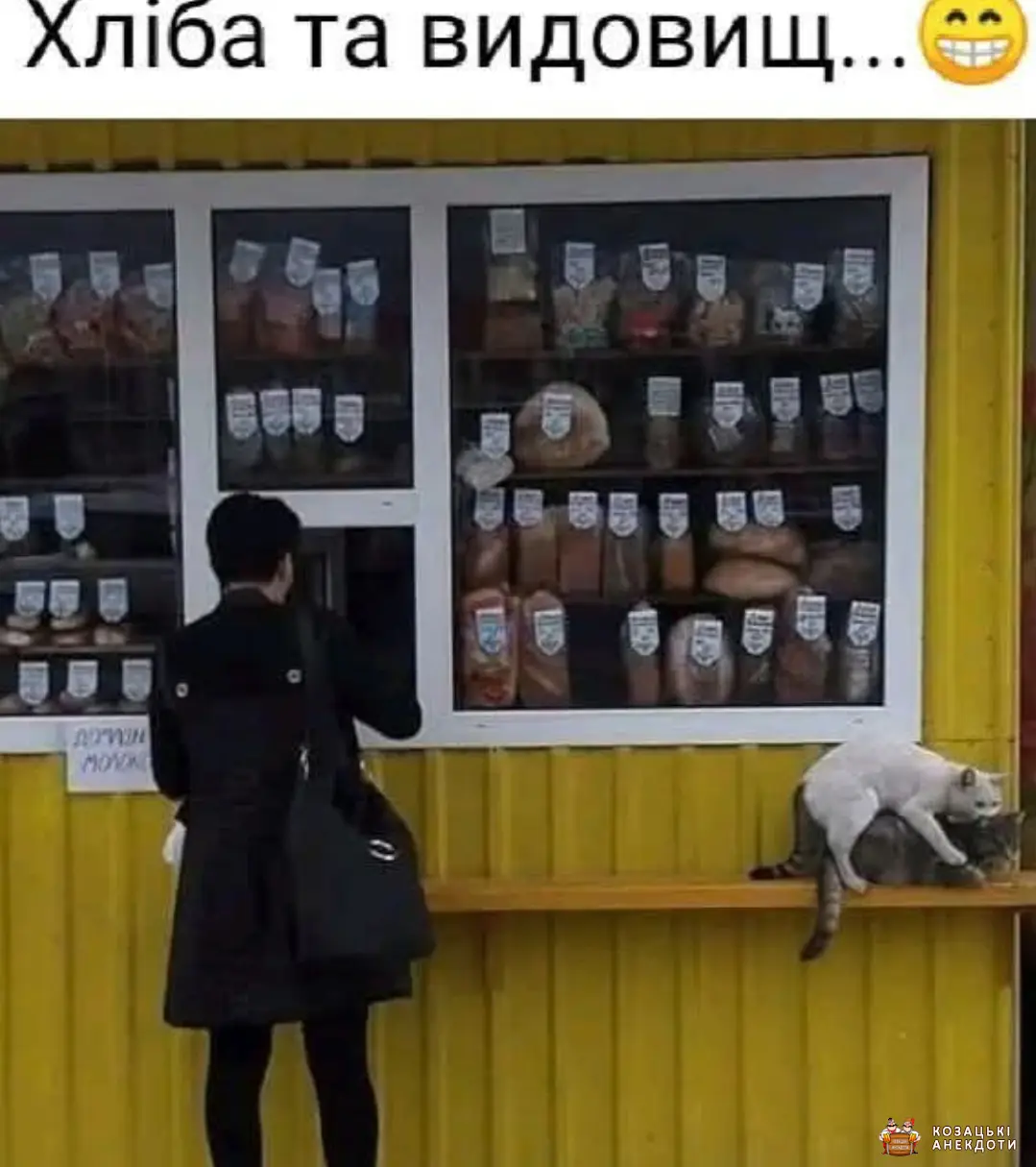 Хліба і видовищ