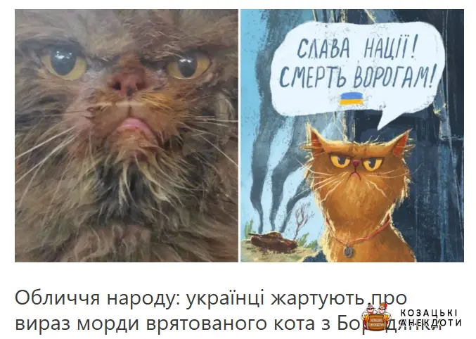 Кіт з Бородянки