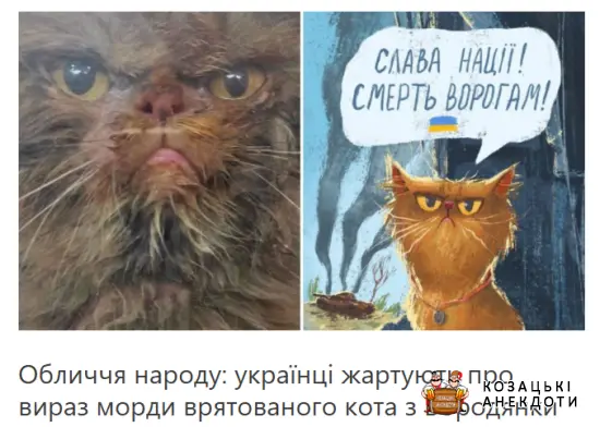 Кіт з Бородянки