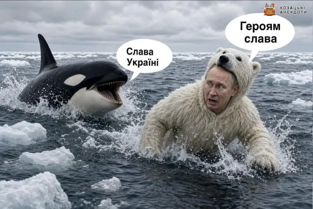 Касатки і ведмеді Хуйла