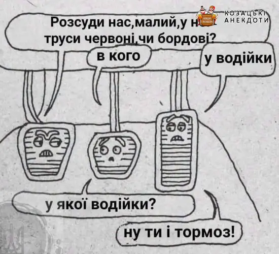 Прикол про тормоза